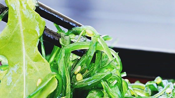 Superalimentos: ¿Qué son? ¿Cuáles son? y alimentos a evitar Algas Marinas